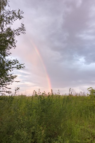 sinelnickov в LOOKY. . Радуга