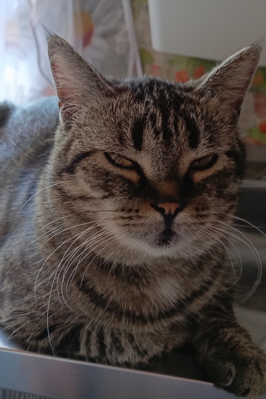 Ната Миро в LOOKY. . Моя Мотя))) ❤️моя сл...