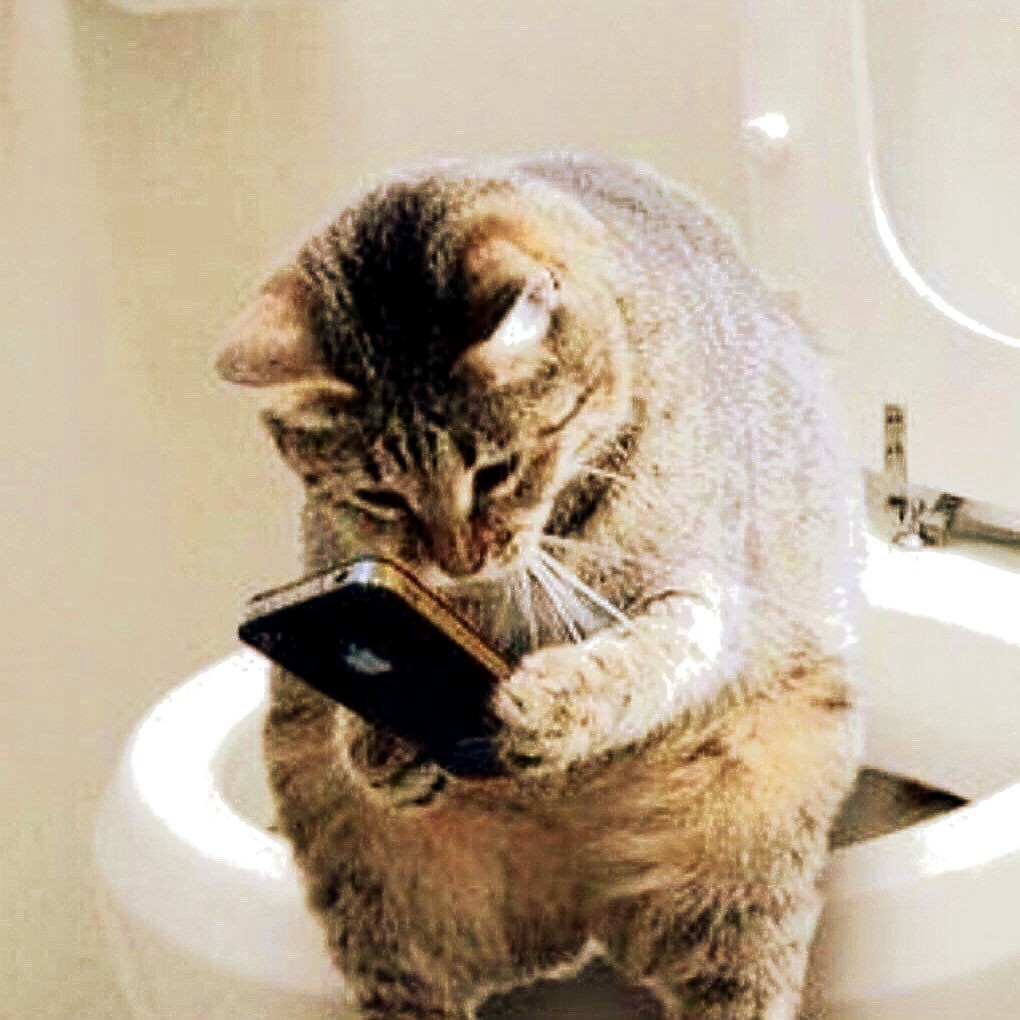AdelinA_fox в LOOKY — #meme#жиза#