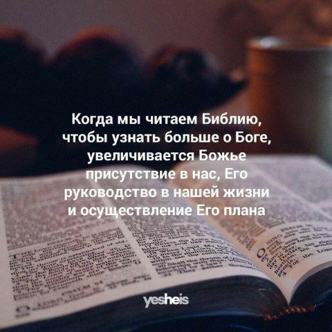 mishaevna в LOOKY. #БОГ#Есть. "Не торопи сезон, в ...
