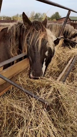 Vladova Tatiana в LOOKY. . 