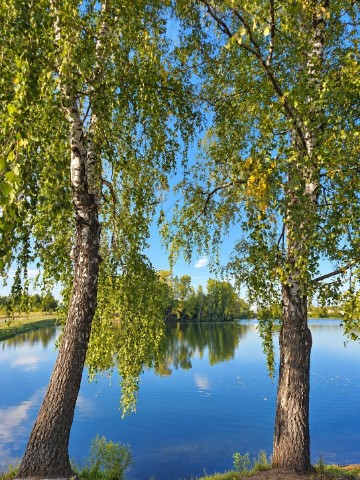 Looky_177376094385359 в LOOKY. . Осень 🍂