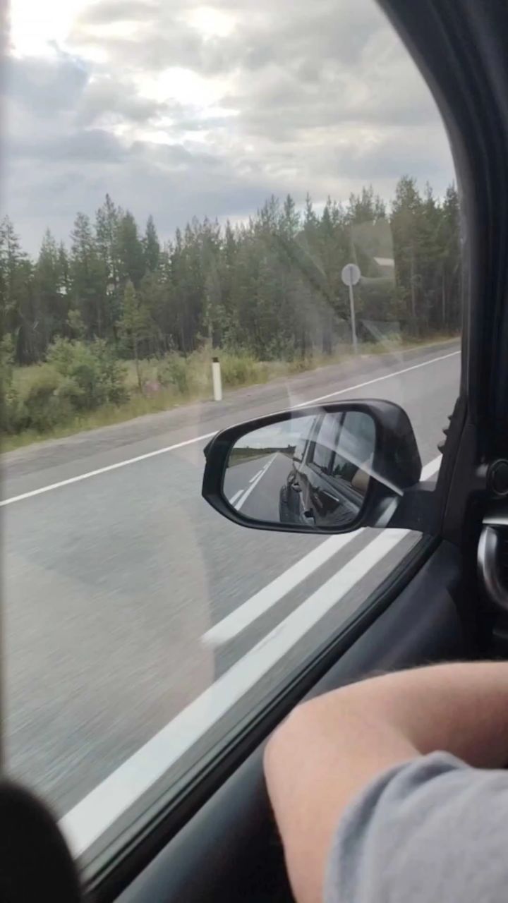 Денежная удача в LOOKY — Едим на Териберку