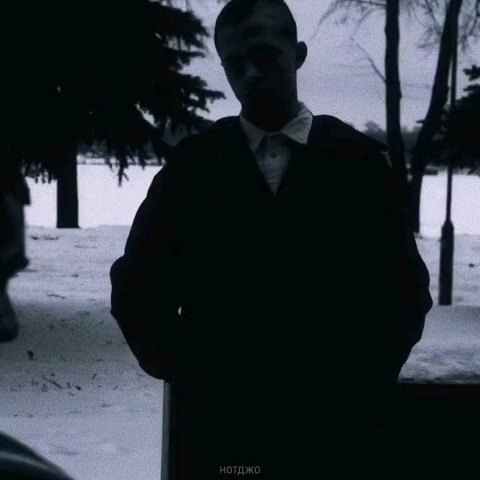 Солнечный Пёсик в LOOKY — публикация