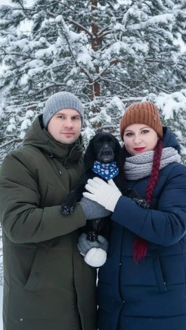 sandratski_natalia в LOOKY. #!,#LOOKY_нейронка. #! #LOOKY_нейронка