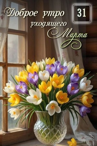Аля Бик в LOOKY. . 