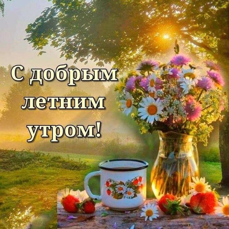 Looky_1675165962565 в LOOKY — публикация