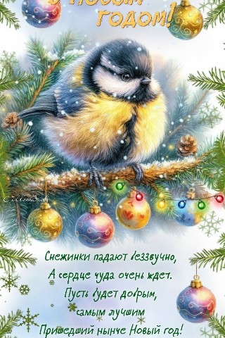 afinogenovaliudmila в LOOKY. . С наступающим новым ...