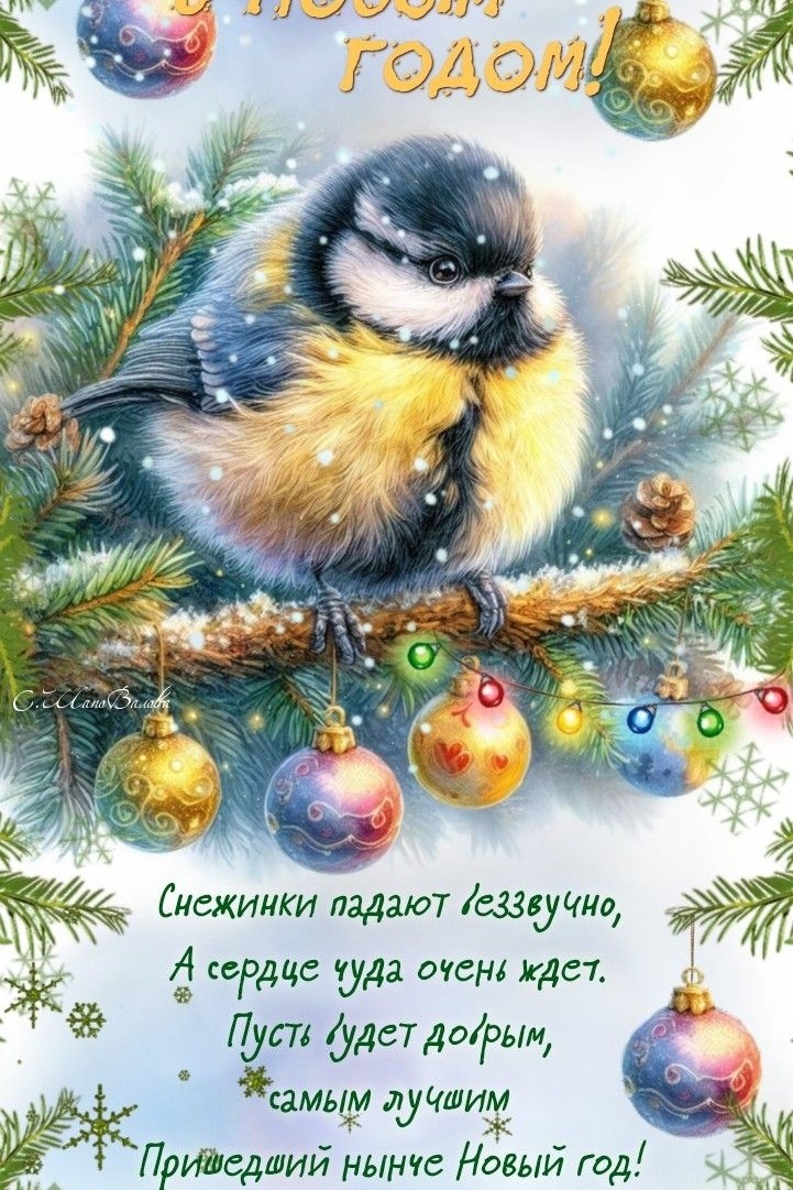 afinogenovaliudmila в LOOKY. . С наступающим новым ...