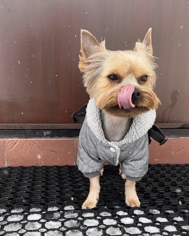 ivashka_yorik в LOOKY. . 