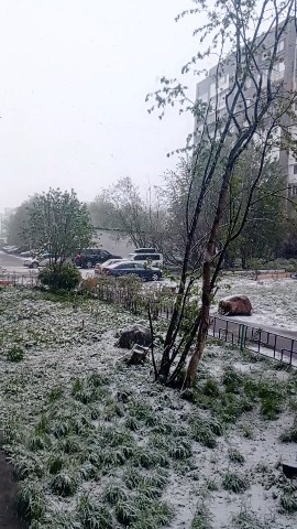 Б.ОКС в LOOKY. . 27мая26г