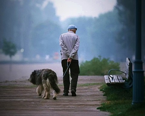 Looky_177234195672899 в LOOKY. . Два карих глаза, смо...