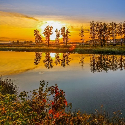 Mihnovets в LOOKY. #photo,#photoonphone. [#фото](фото) [#фото...