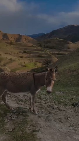  в LOOKY — Обычный вечер пятницы в горном селе. Приятных выходных, Вам 