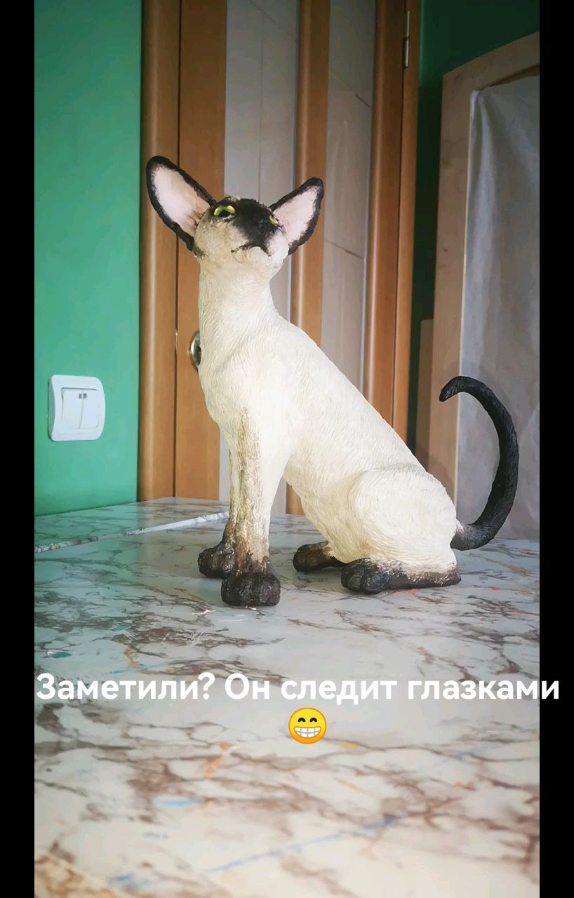 ДекоРина в LOOKY. . Вот такой красавчик ...