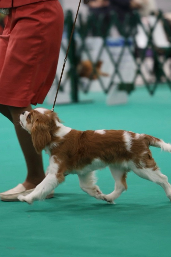 Светлана в LOOKY — фото 2