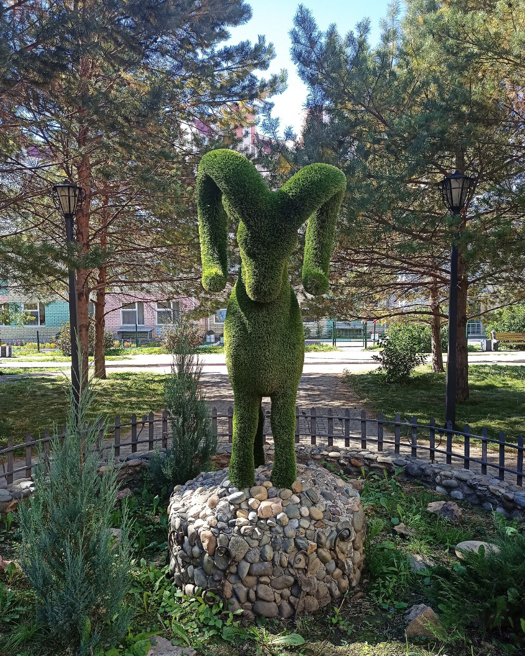  в LOOKY — публикация