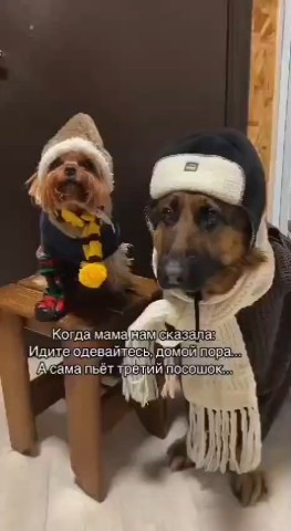 Looky_174357149477092 в LOOKY. #блогер,#позитив. С днём блогера 🥳 #б...