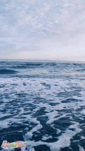 Olya_OlyaPka в LOOKY. . 🌪🥰🌊
Приветик, мои...