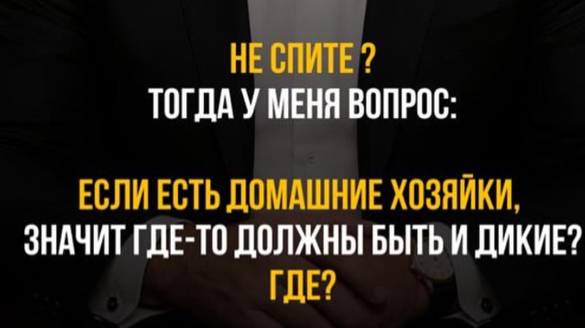literator_99