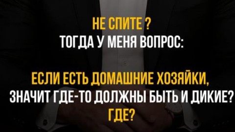 literator_99 в LOOKY. . 