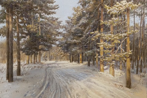 art.aeterna в LOOKY. #лес,#зима,#пастель. Зима в Коккорево.
Па...