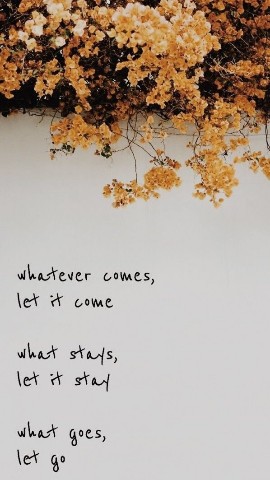 metta в LOOKY. . Let things come and ...