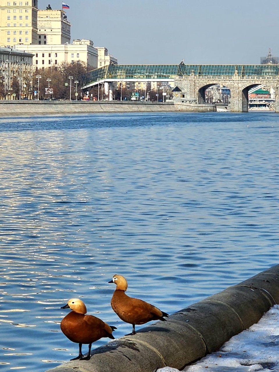 Светлана в LOOKY — фото 2