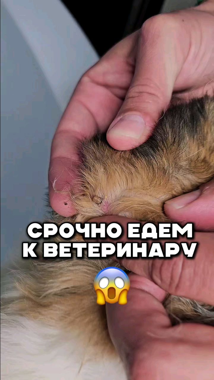 Harly_Miami в LOOKY. . ОПАСНОЕ ВРЕМЯ!!! Буд...