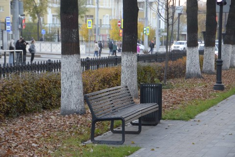кошка ТЕОРЕМА в LOOKY. #лавочка. #лавочка [#осеннеена...