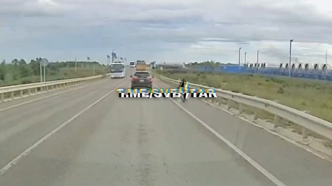 svbstar в LOOKY. #отподписчикасвб. Момент дтп на заводе...