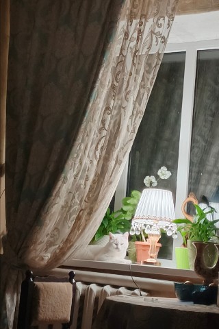 Ann в LOOKY. #Мах#cat#home#evening. #Мах#cat#home#evenin...
