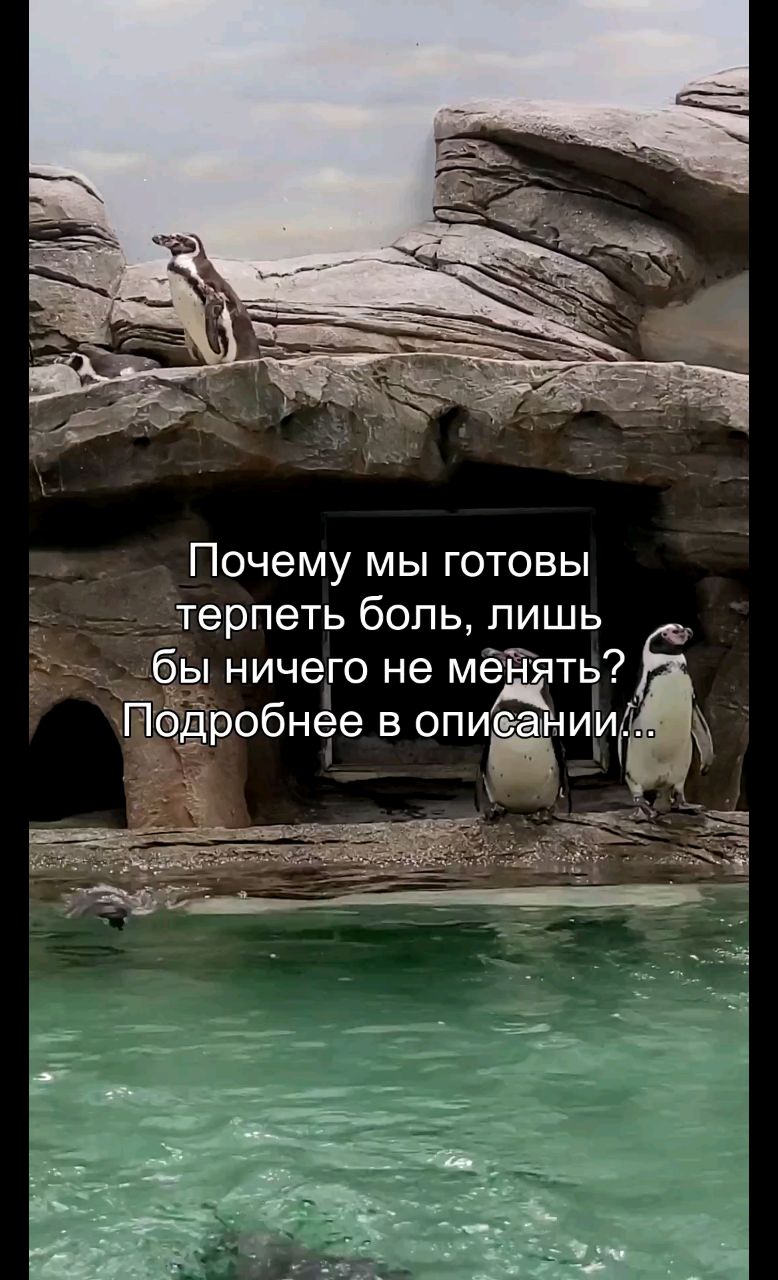 oleg_oreels в LOOKY. #терпение,#страх,#изменения,#психология,#осознанность. Ты терпишь. Ты терпи...