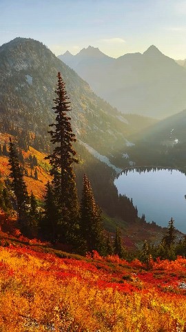 TOPMUSIC в LOOKY. . 