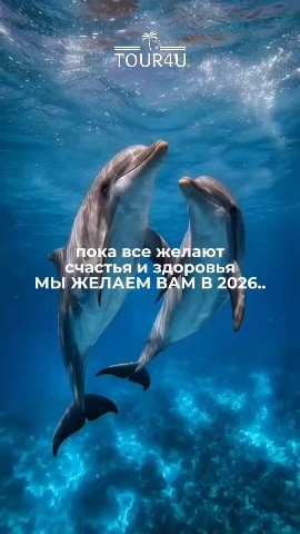 Романова Роллана в LOOKY. #Путешествие. #Путешествие