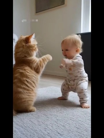 Looky_173720546567212 в LOOKY. #кунфу. Ребёнок едва умеет р...