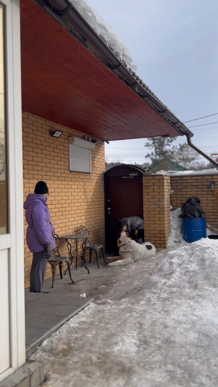 Ирина в LOOKY. . Я получила травму но...