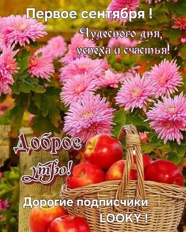 Looky_177521319440383 в LOOKY. . 