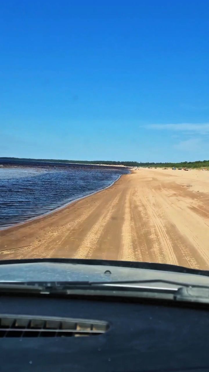 Шурупчик в LOOKY. . Остановите наше лето...