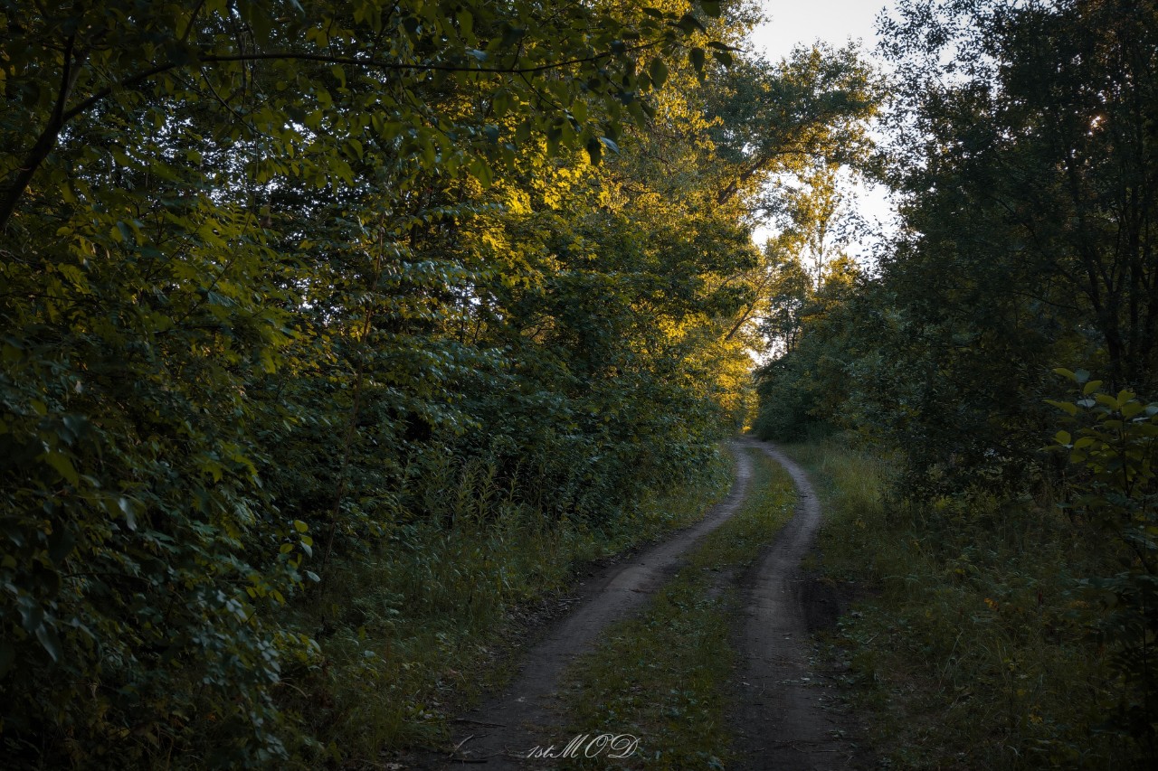 Фото со смартфона.

#looky #пейзаж #стрит #улица #мобилография #фотонасмартфон #ятаквижу #фотограф #тамбов #знаменка #1stmod #новинка #новое #фото #фотография #топ #красота #атмосфера #лупа #рассвет #закат