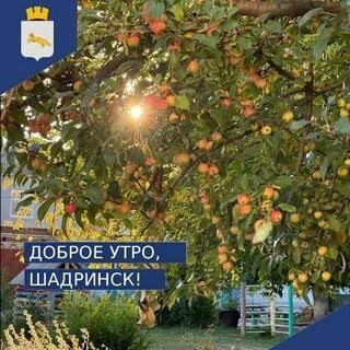 Курганская область новости в LOOKY. #Шадринск,#погода,#выходные,#ДеньГорода,#прогнозпогоды. Ура! Погода на День ...