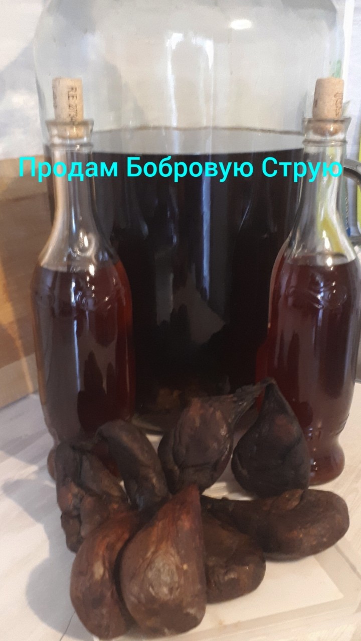 Бобровая Струя Настой-Вяленая in LOOKY. . Telegram WhatsApp 8 ...