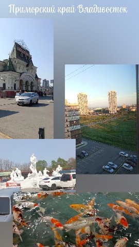 PolinaD32 в LOOKY. . Приморский край,Нахо...