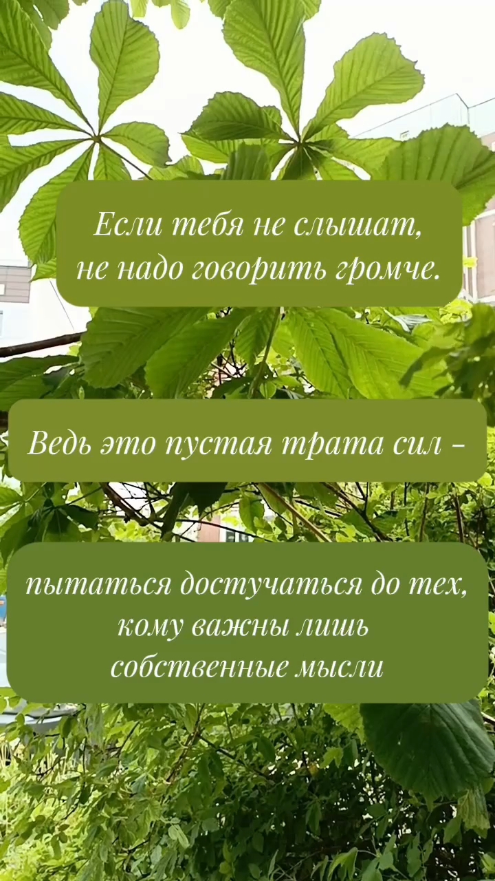 Ольга в LOOKY. #цитаты. #цитаты [#рекомендац...