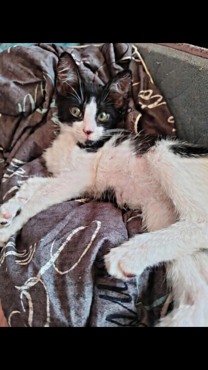 Dasha в LOOKY. . ❤️😻🥰