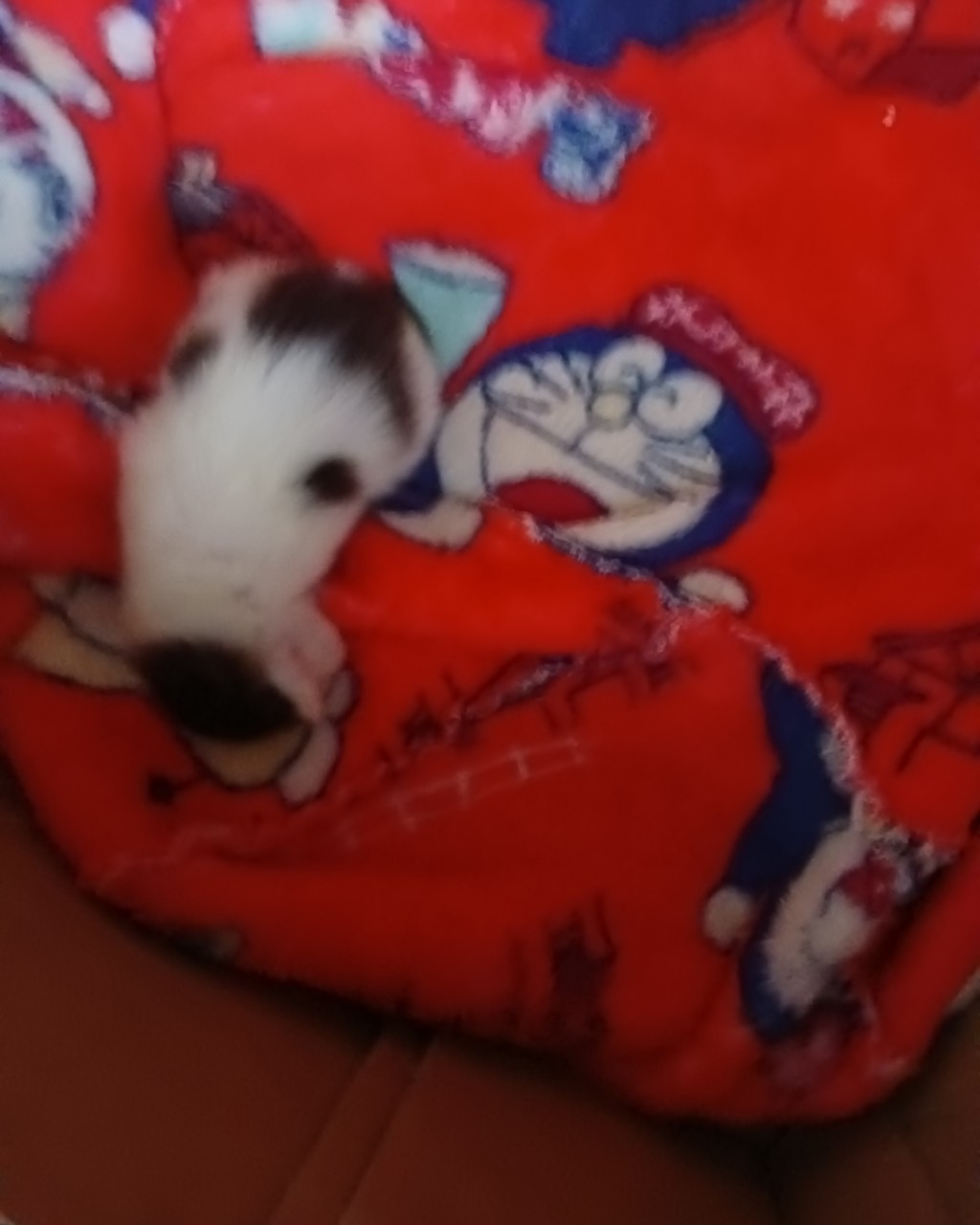 вова уннв in LOOKY. . 