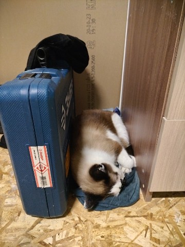 Bel_Monarh9 в LOOKY. . Нашёл себе уютное ме...