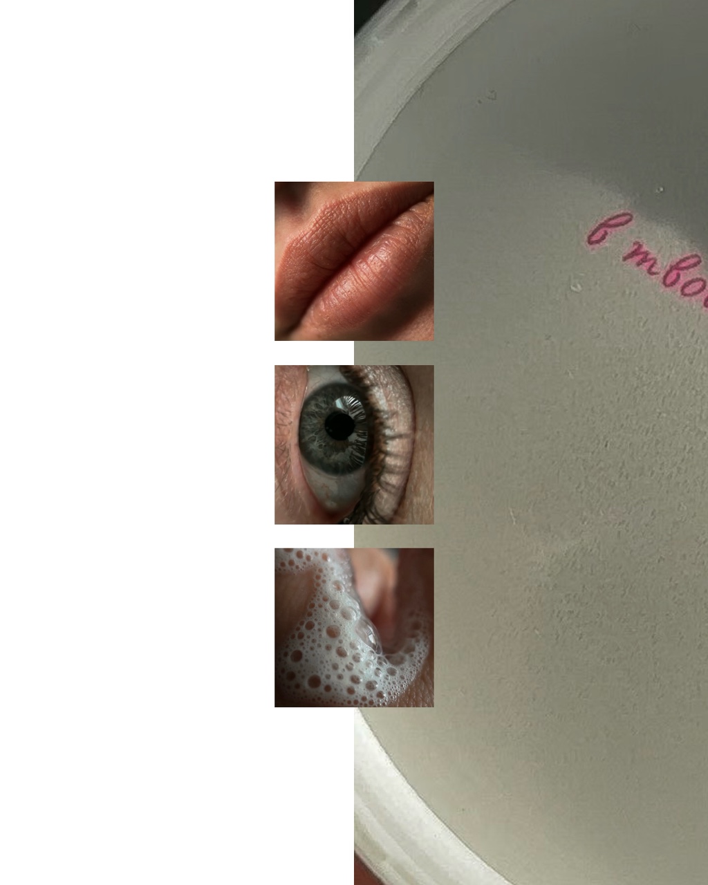 katarsis.prv в LOOKY — фото 2