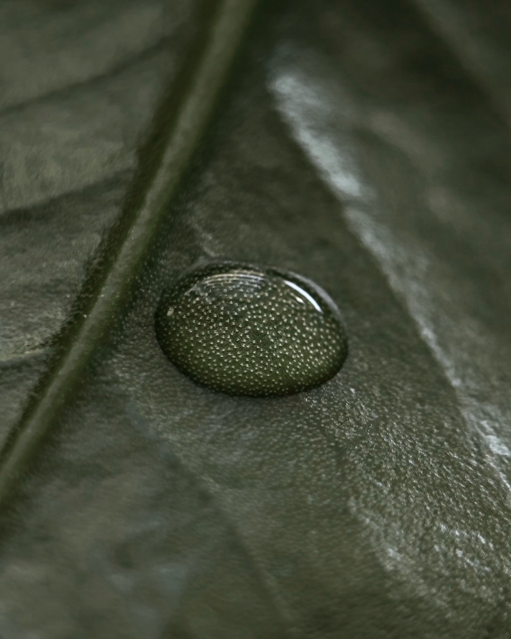 katarsis.prv в LOOKY — фото 1