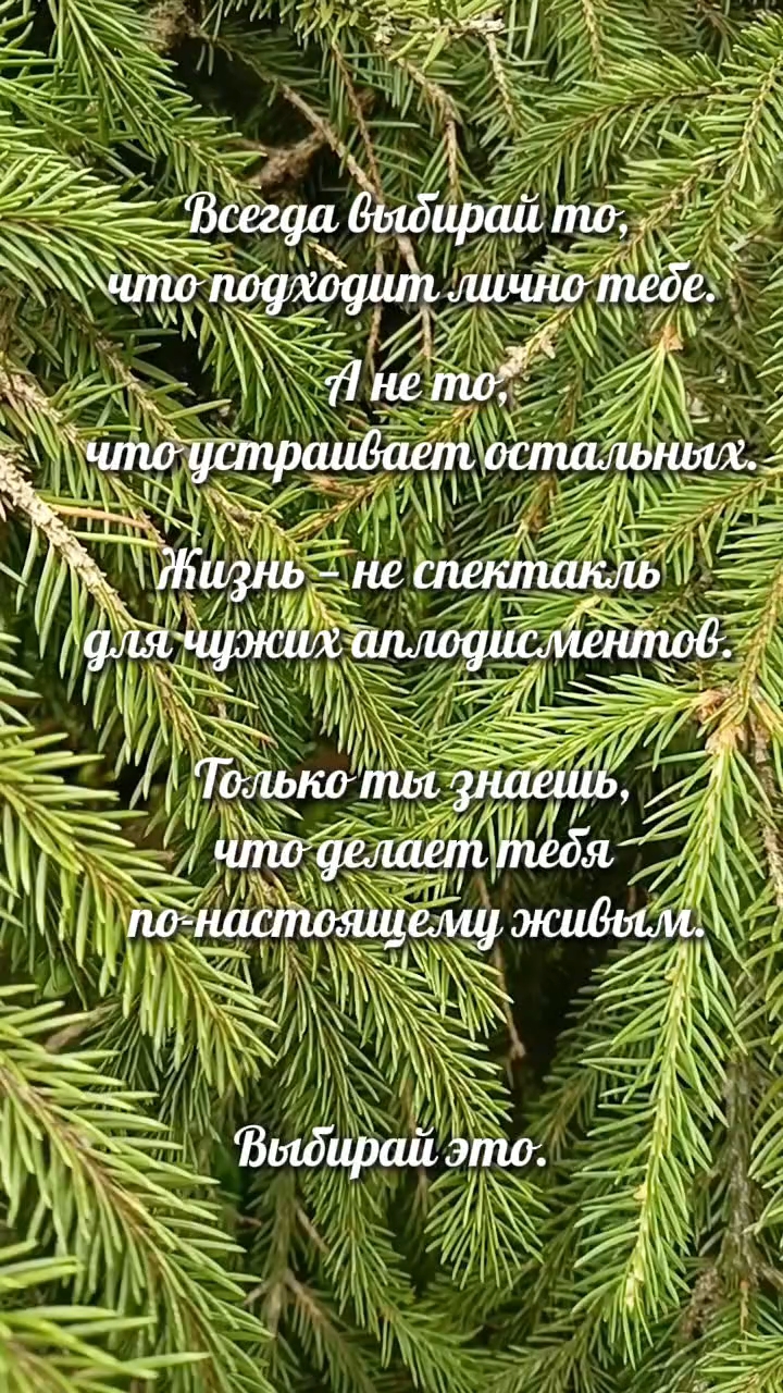 Ольга в LOOKY. #цитаты. #цитаты